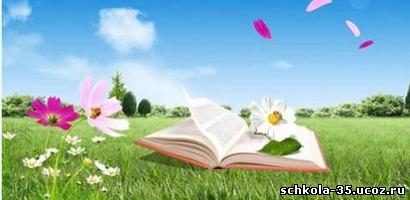 biblioteka.png